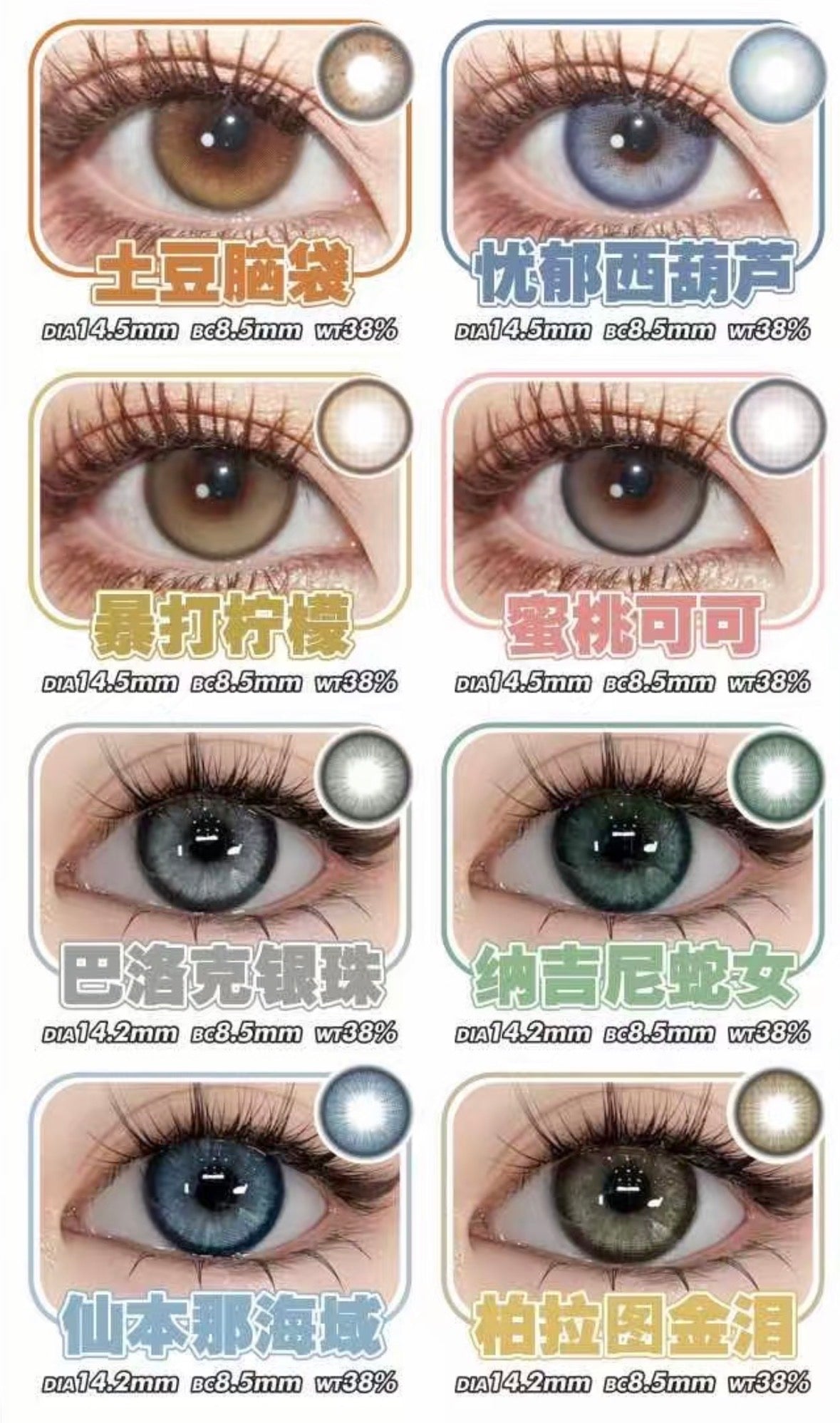 ANMI CON - 年抛 YEARLY LENS (PRE-ORDER)